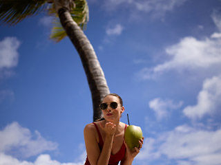 09 08 26 Web Promo Hero Images PalmTree 320x240