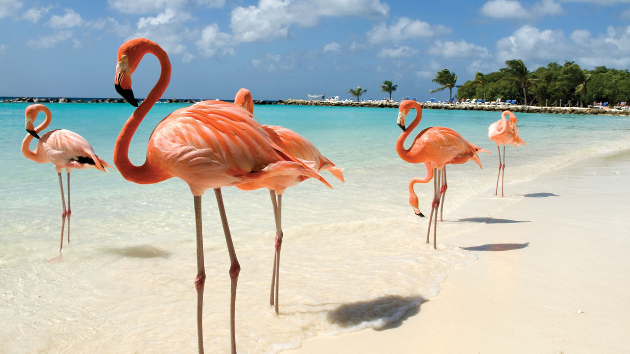 Oranjestad, Aruba