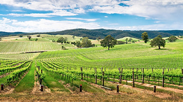 Australia Wine - Image 1
