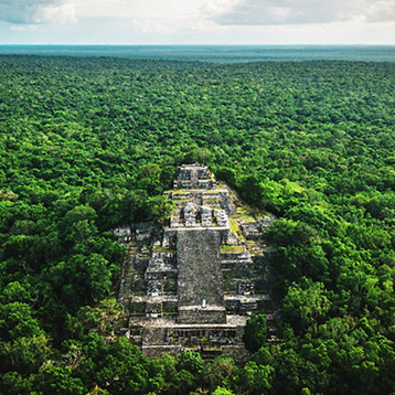 Alt text Override