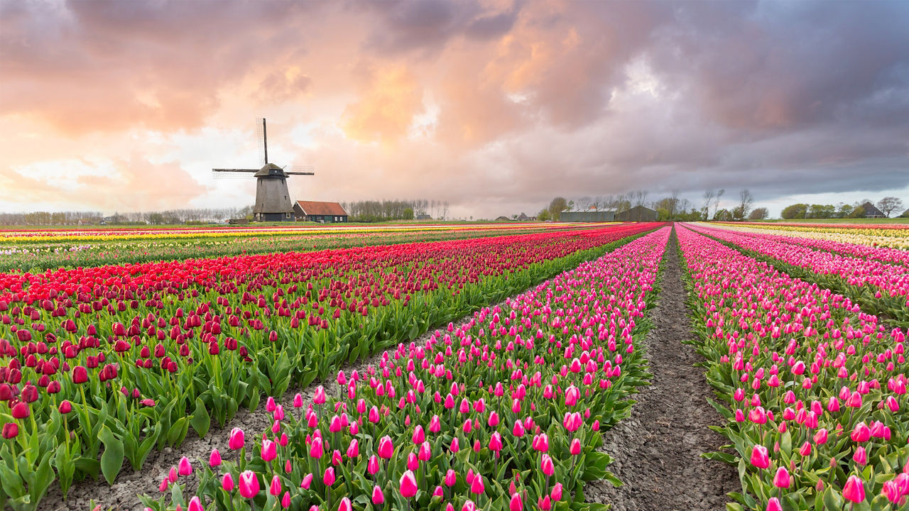 amsterdam netherlands