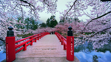 Tokyo to Vancouver Pacific Crossing - Image 1