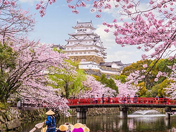 A historic Japanese castle framed by blooming cherry blossom trees and a red bridge over calm water.
