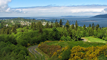 Pacific Coastal Cruise - Image 2