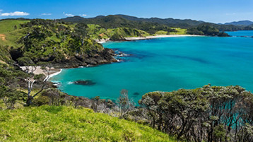 New Zealand Holiday Cruise - Image 2