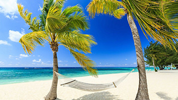 Key West, Mexico & Cayman - Image 1