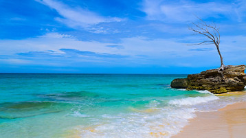 Bahamas Getaway Cruise - Image 1