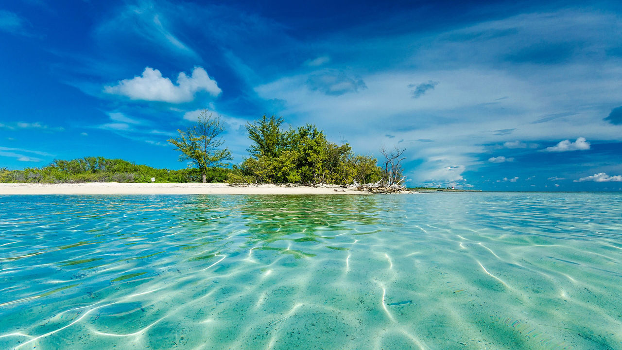 Bahamas Getaway - Image 1