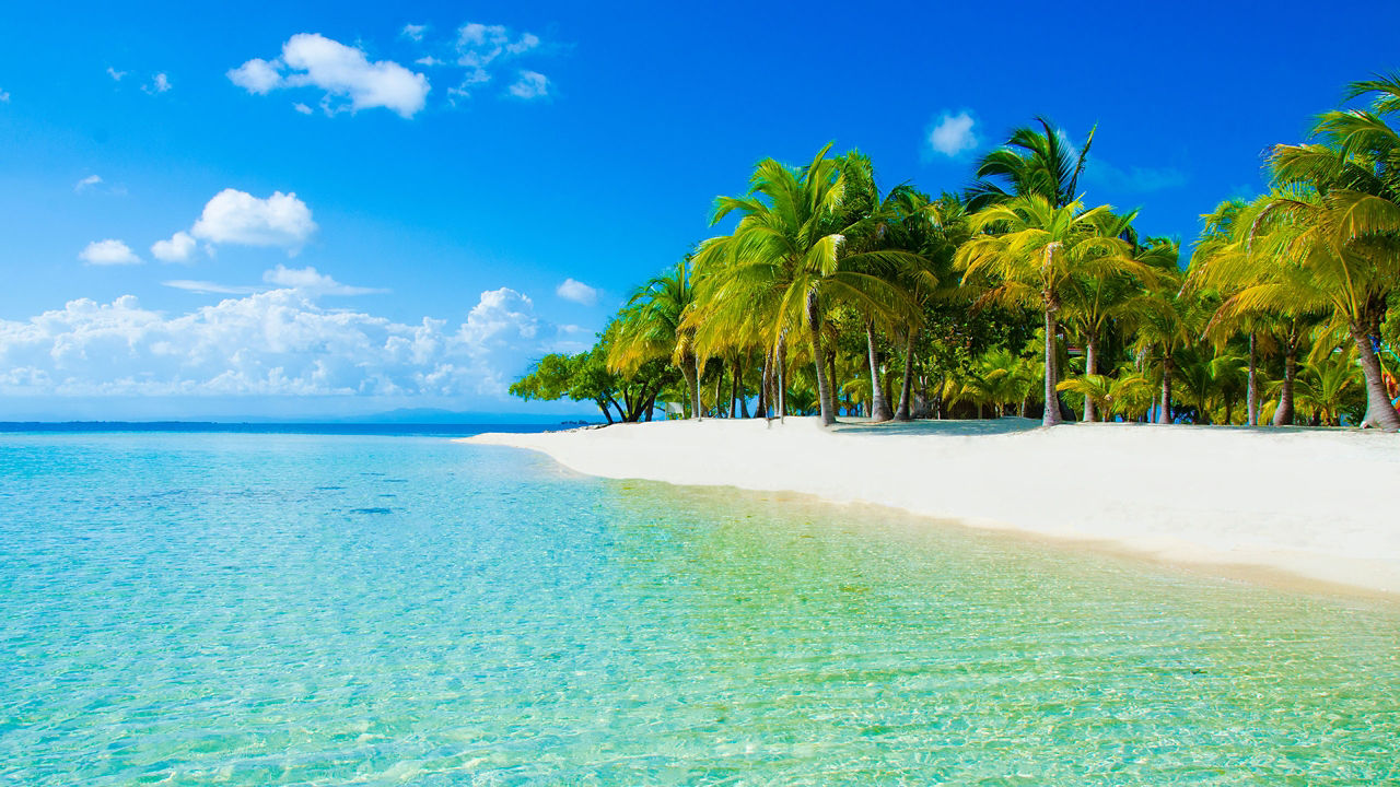 caribbean beach sea turquoise 2560x1440