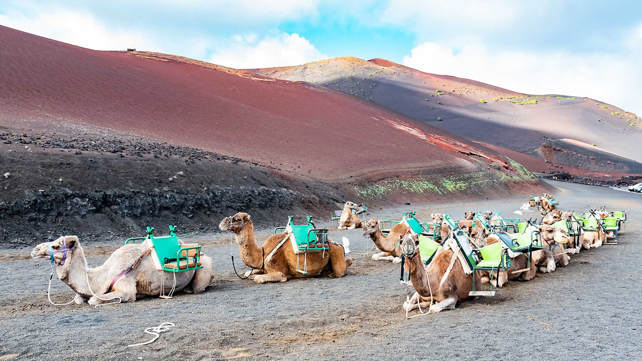 Madeira, Canaries & Morocco