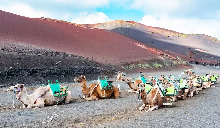 Spain, Canary Islands & Morocco