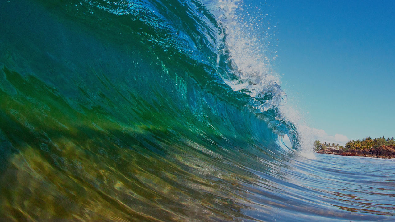 3089 hawaii wave curl 80 opacity