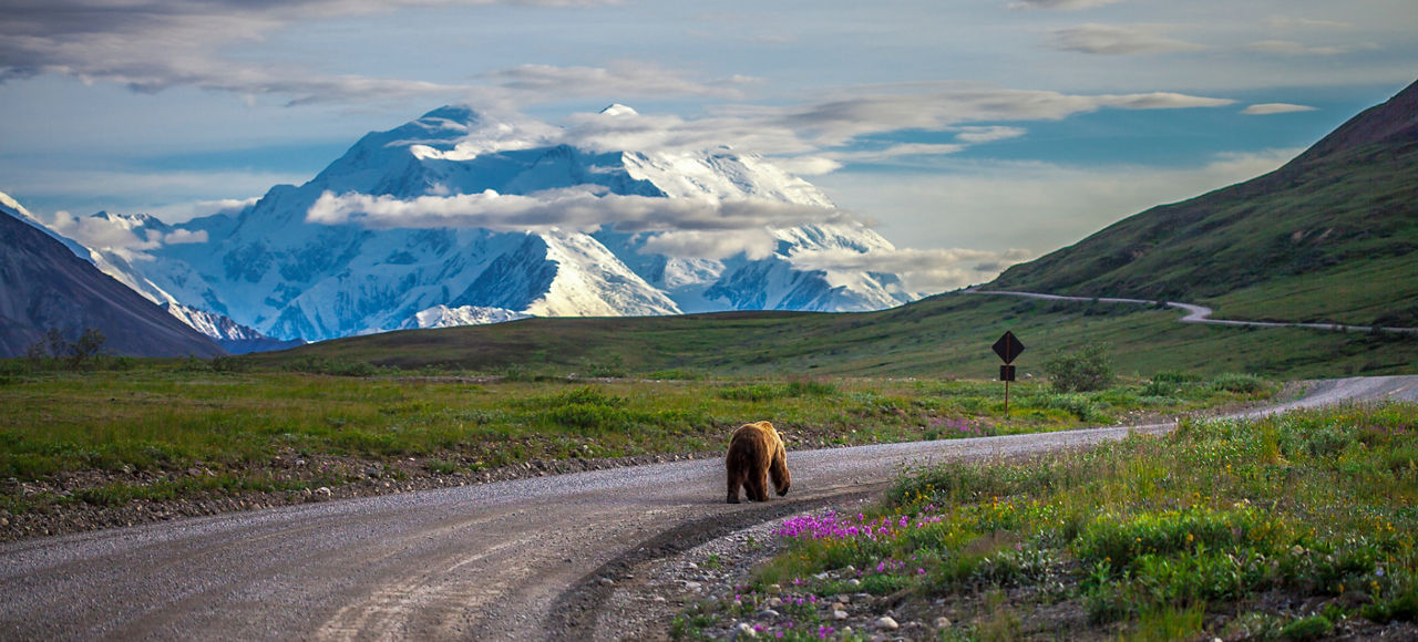Majestic Tundra Explorer Cruisetour (Post Tour)