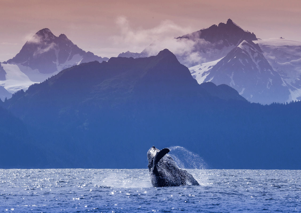 Premium Heritage and WIlderness Expedition Cruisetour (Pre Tour)