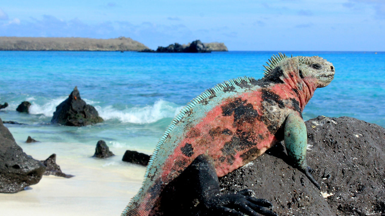 Galapagos Outer Loop Itinerary