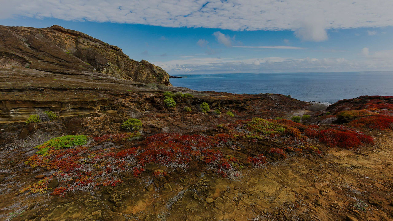 Unique landscape of Isla San Cristobal