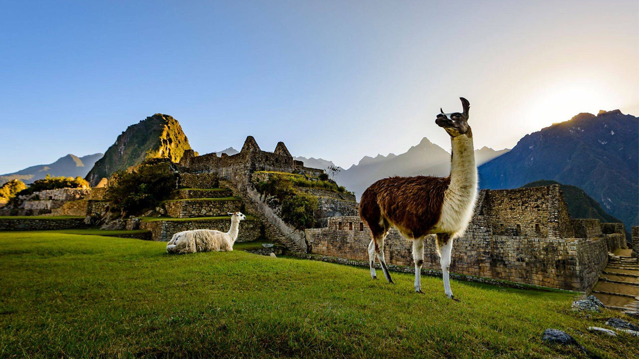 Galapagos Outer Loop & Machu Picchu