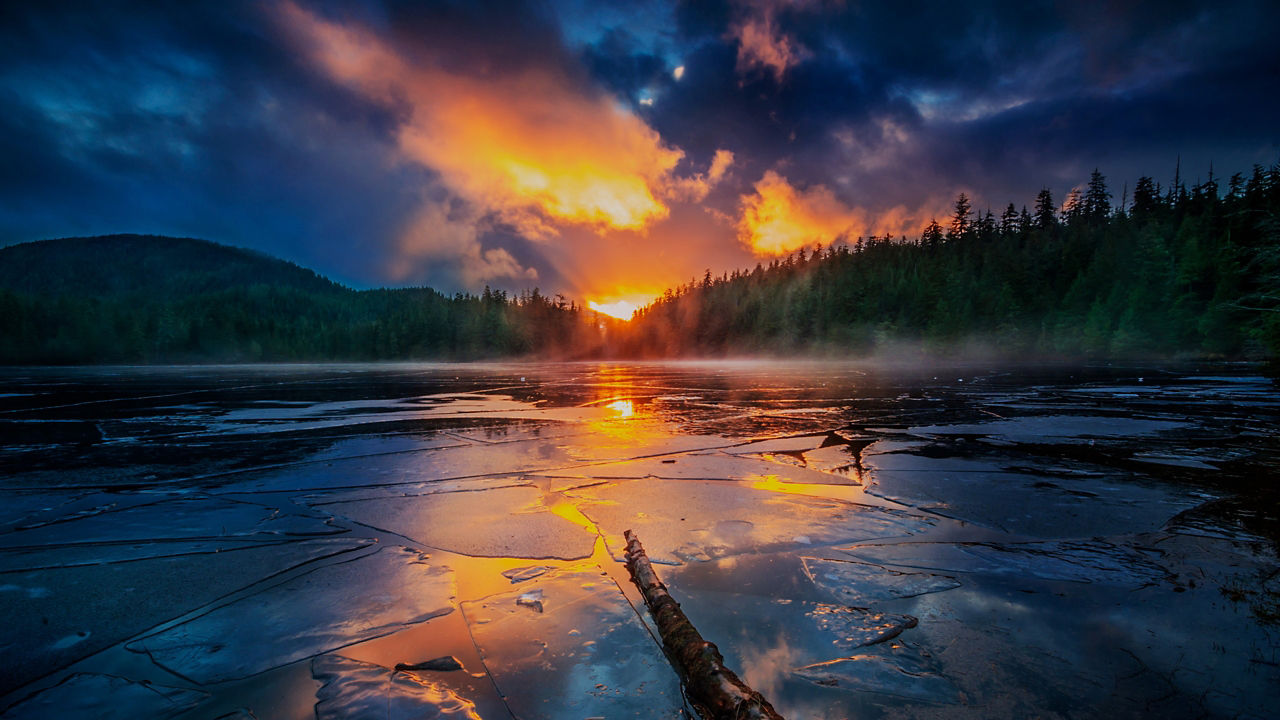 Majestic Tundra Explorer Cruisetour (Post Tour)