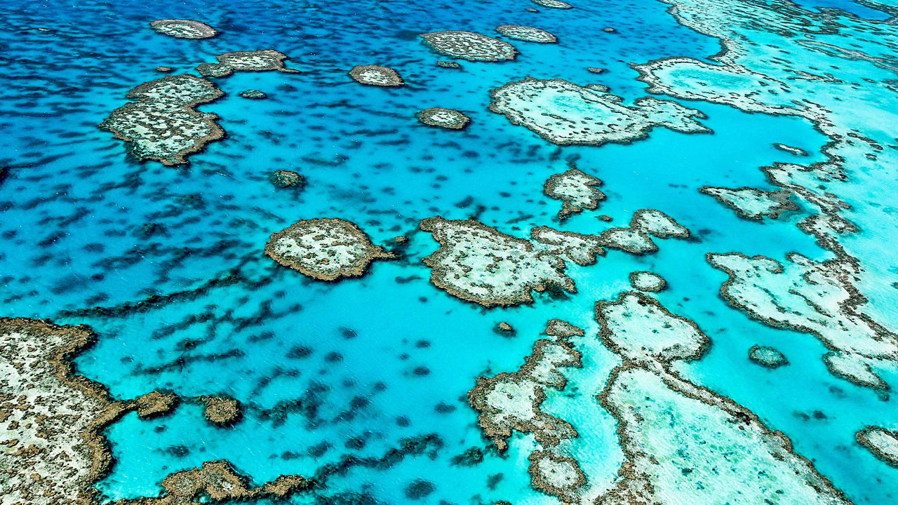 Great Barrier Reef