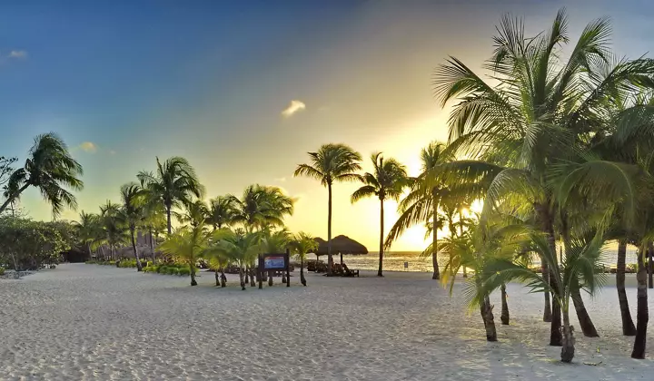 Grand Cayman & Mexico