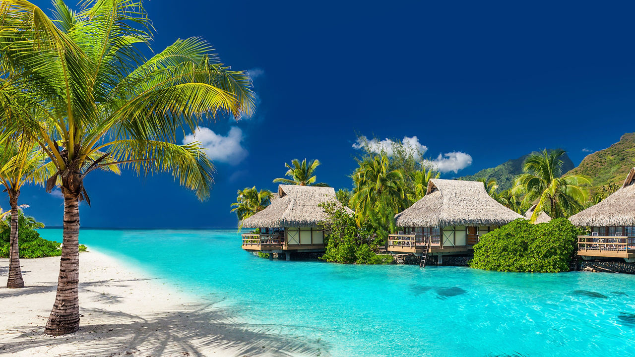 fiji overwater bungalows tropical paradise 2560x1440