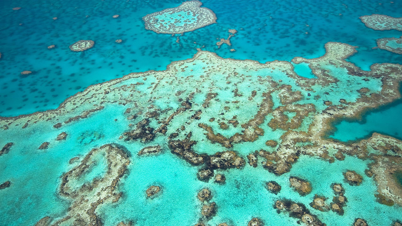 Great Barrier Reef Aerial View