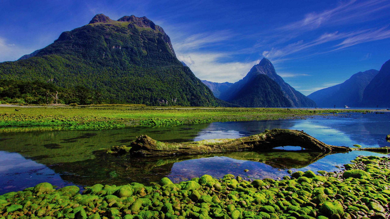 Best of New Zealand: Fjords & Natural Wonders