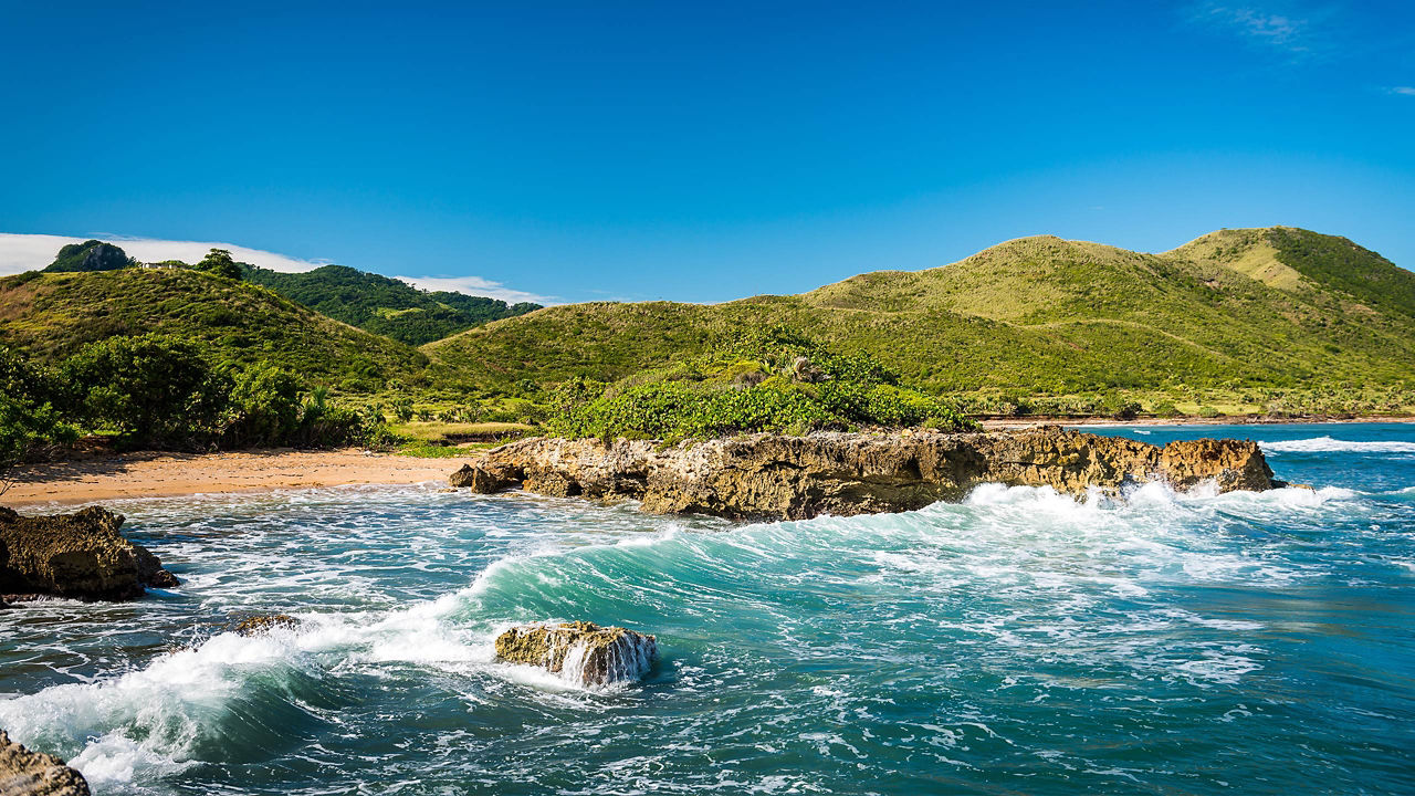 Phoques posant pour la caméra en Antarctique