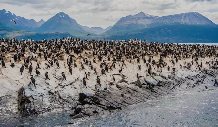 Best of South America: Argentina to Chile