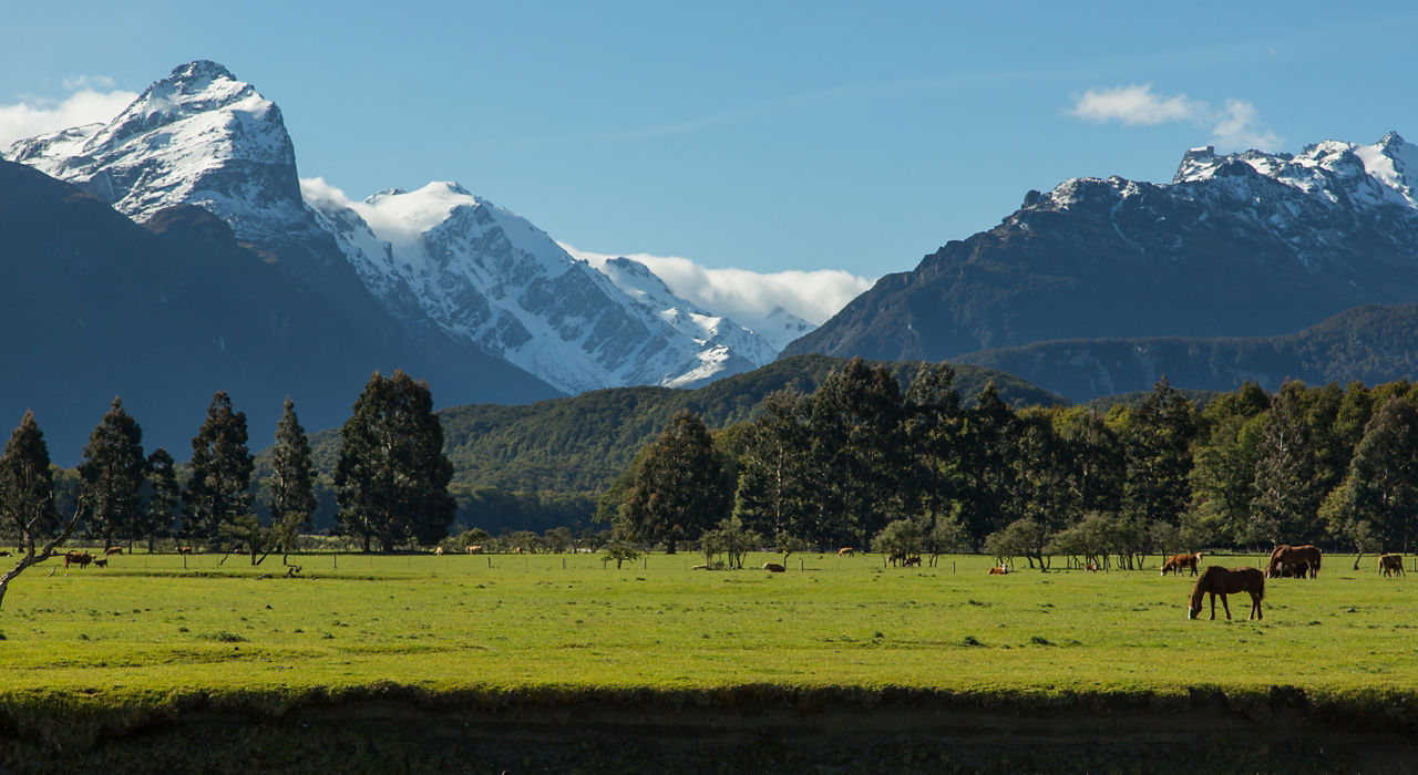 Best of New Zealand: Fjords & Natural Wonders