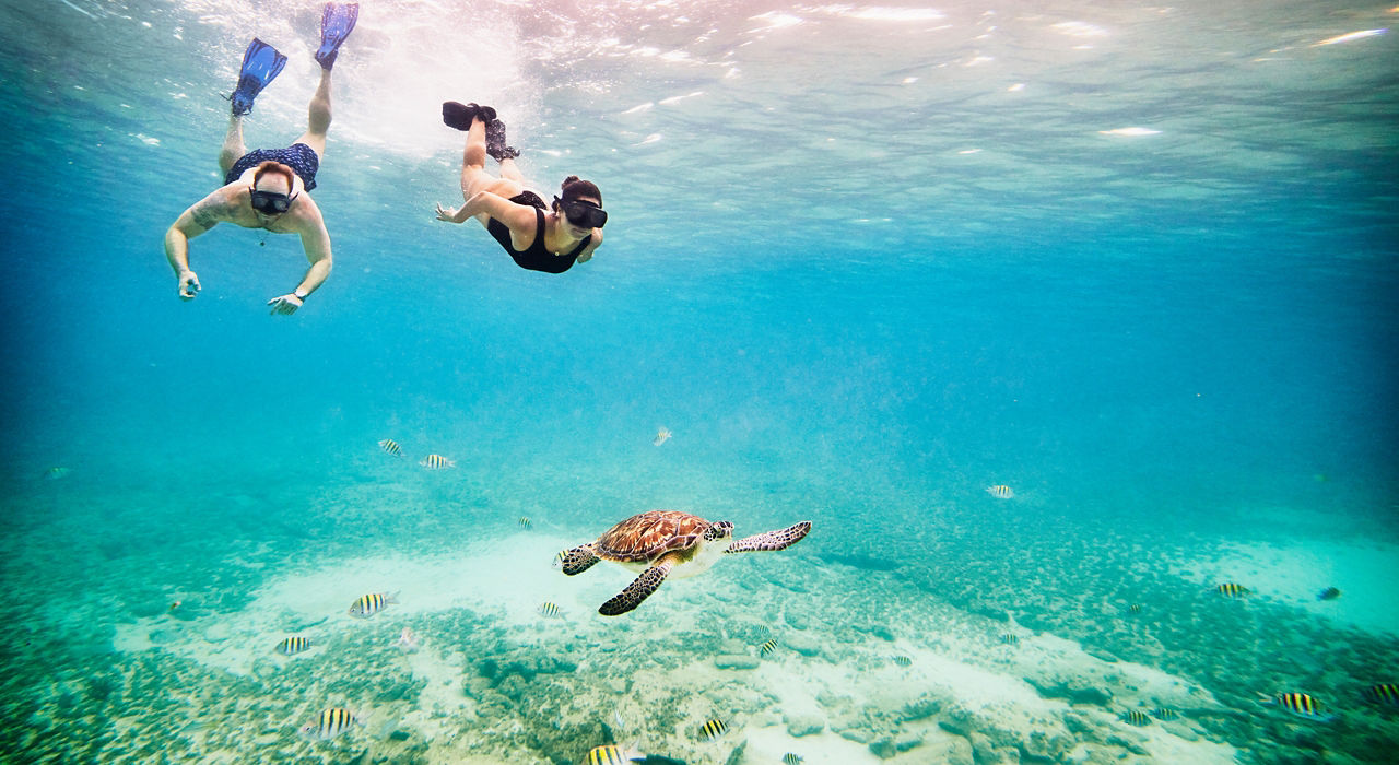 CELEBRITY ASCENT - Ultimate Southern Caribbean