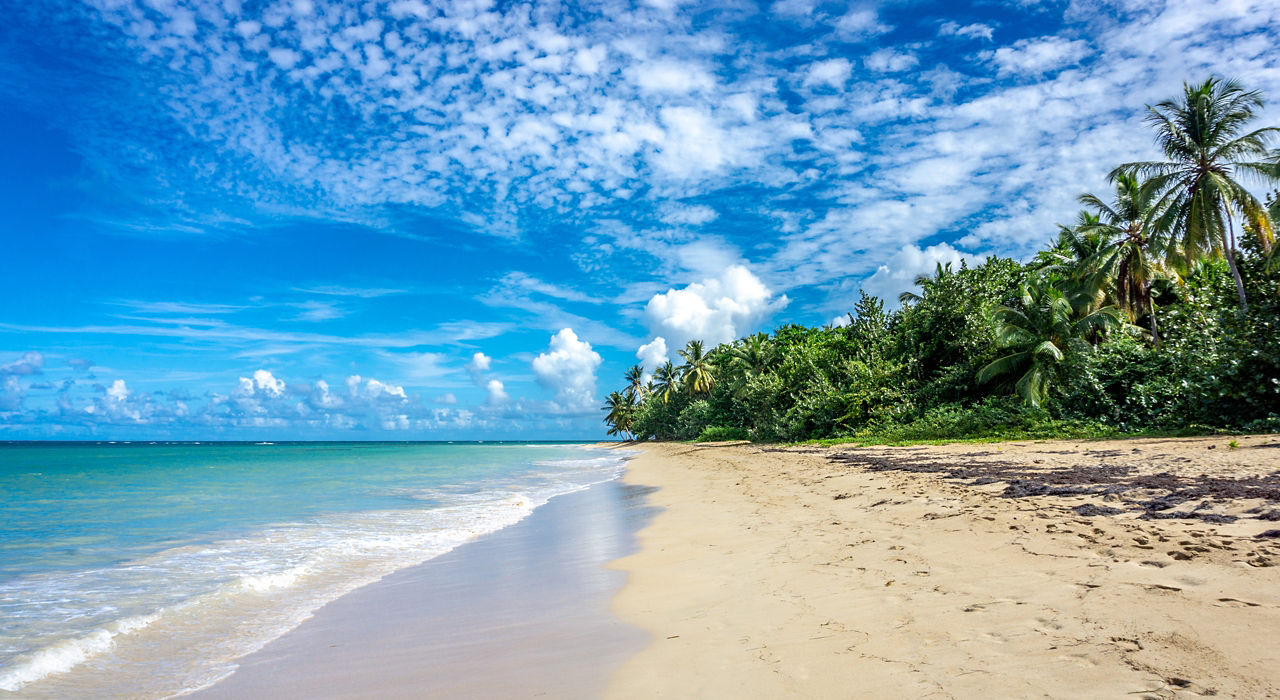 Tortola, St. Kitts & Puerto Plata