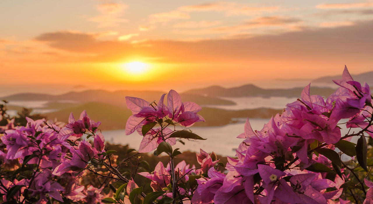 St. Thomas, St. Kitts & Puerto Plata