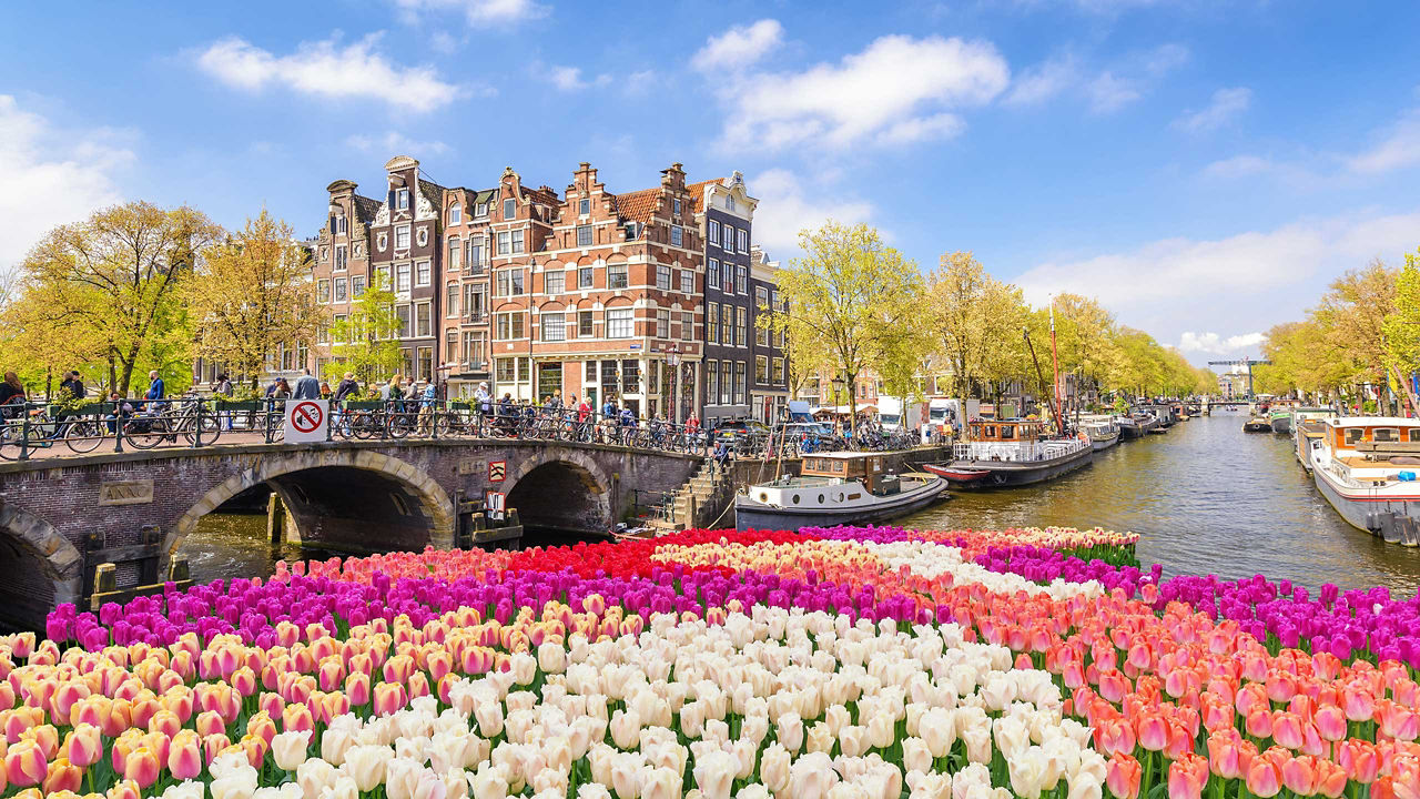 Amsterdam flower city
