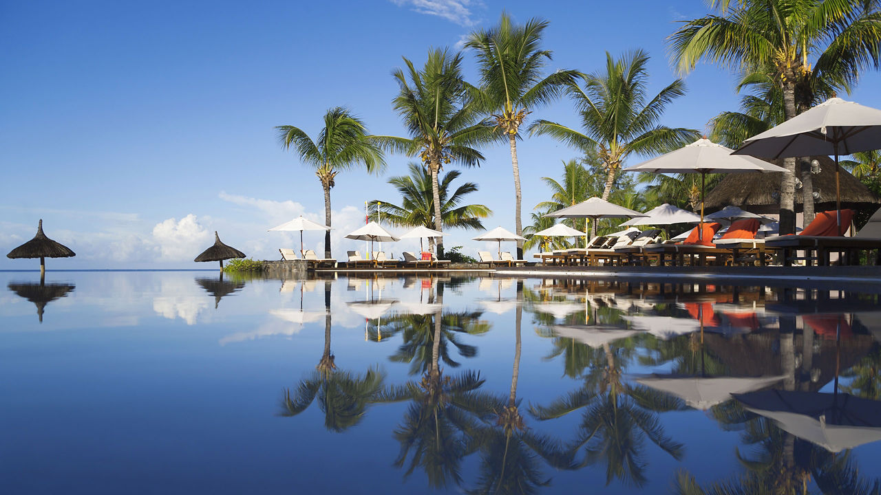 Palm trees reflection on the water