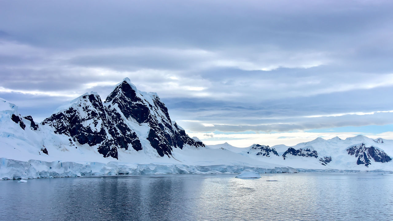 Cruises to Elephant Island, Antarctica