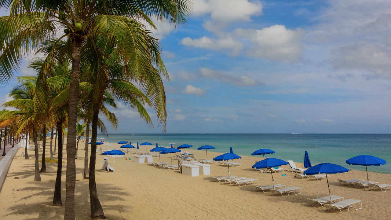 blue umbrellas and chairs along a beach in Fort Lauderdale