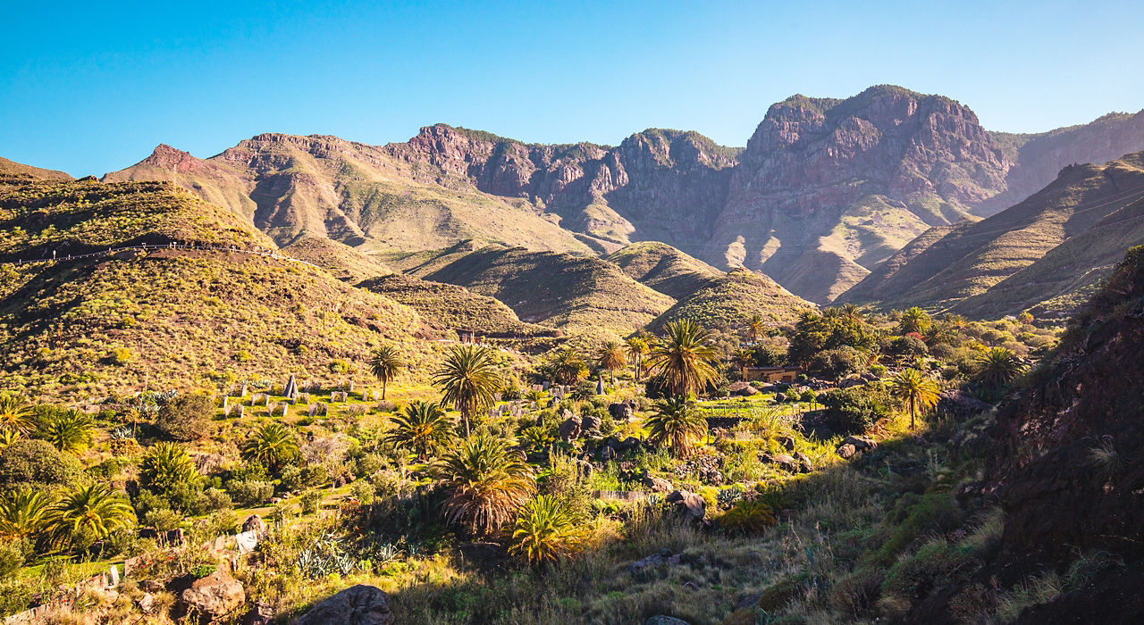 Spain & Morocco: Carnival in the Canaries