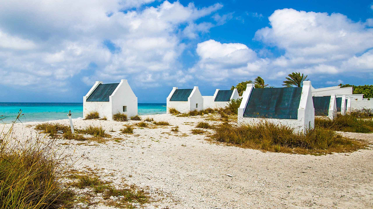 Aruba, Curacao & Bonaire