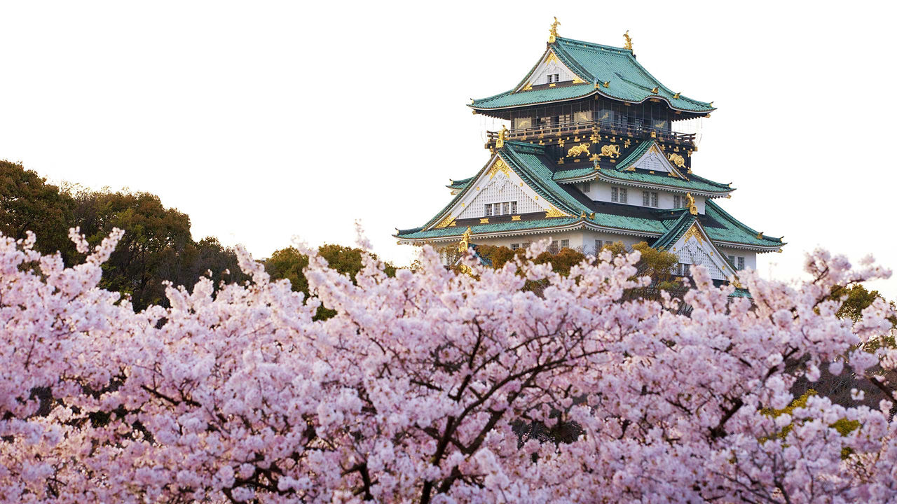 Best of Japan - Nebuta Festival