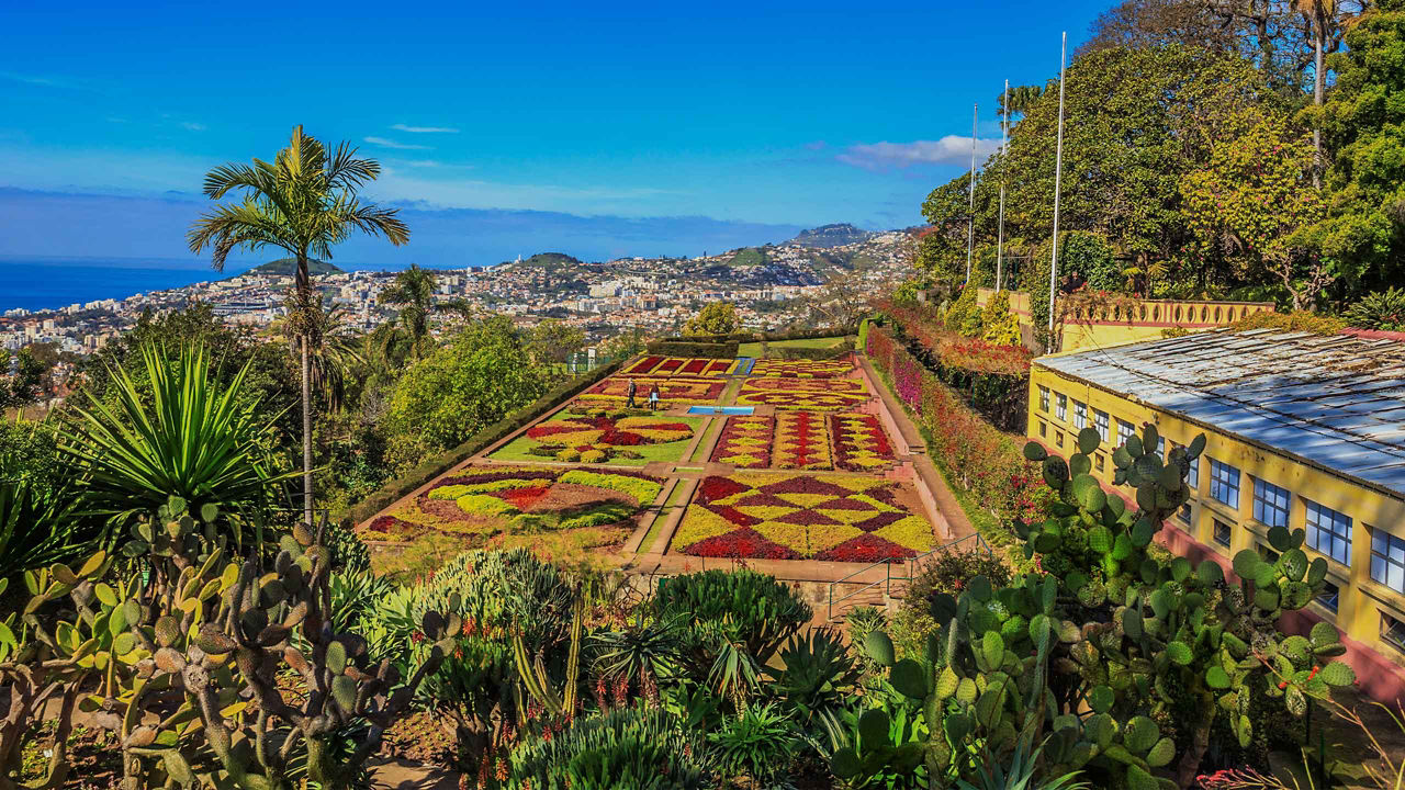 Madeira (Funchal) Portugal