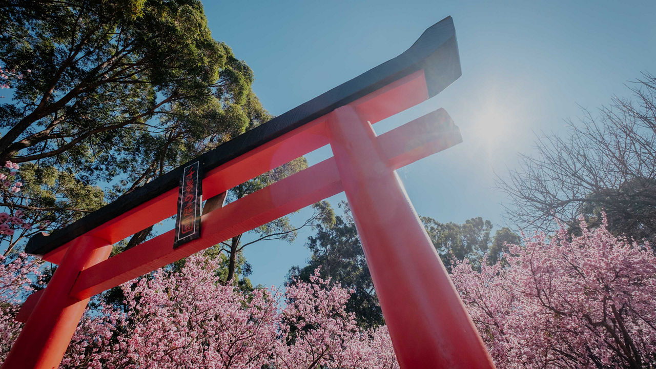 Tori Gate in Mt. Fuji,  Japan