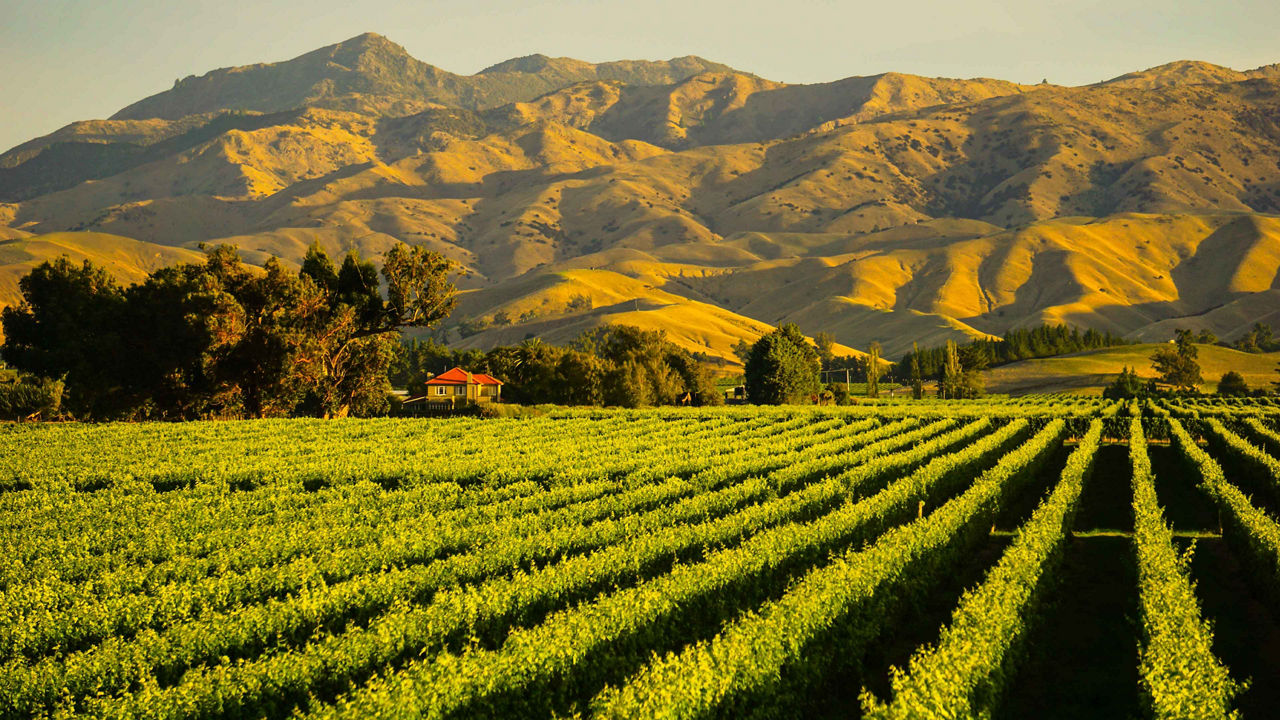 Holidays in New Zealand: Fjords & Natural Wonders