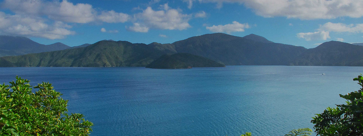 beautiful view in Picton, New Zealand