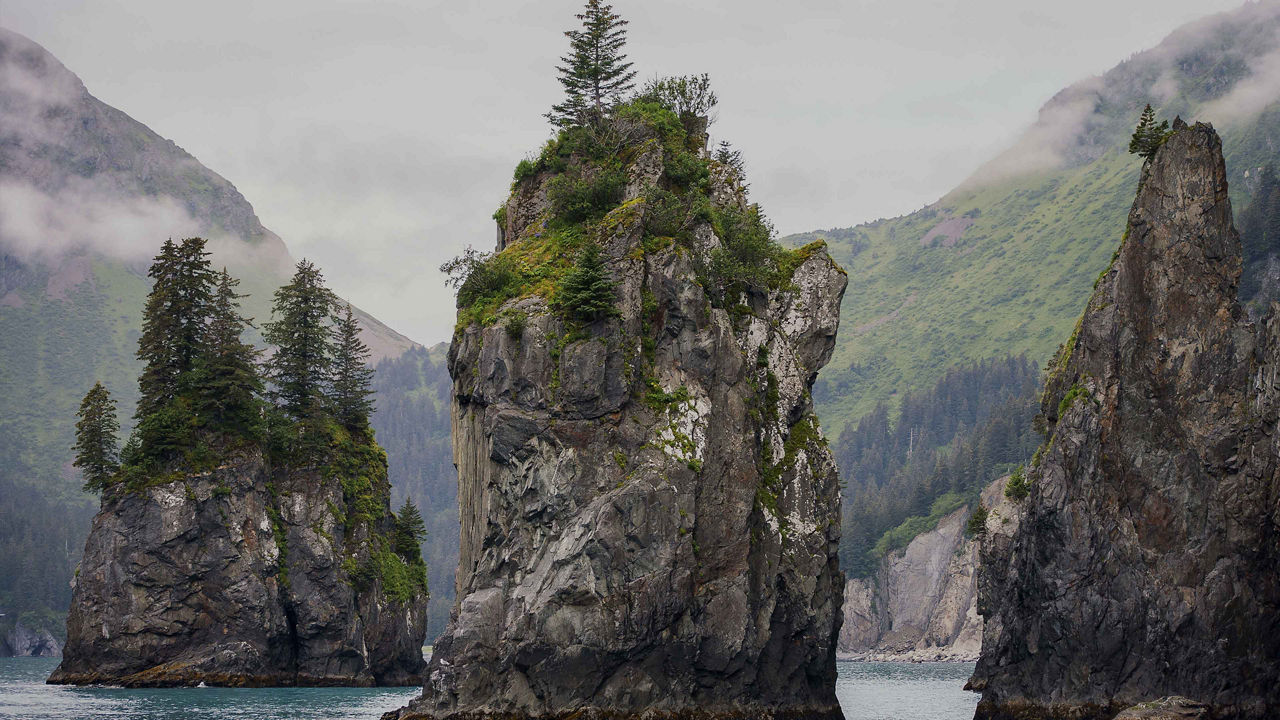 Kenai Fjords in Seward Alaska