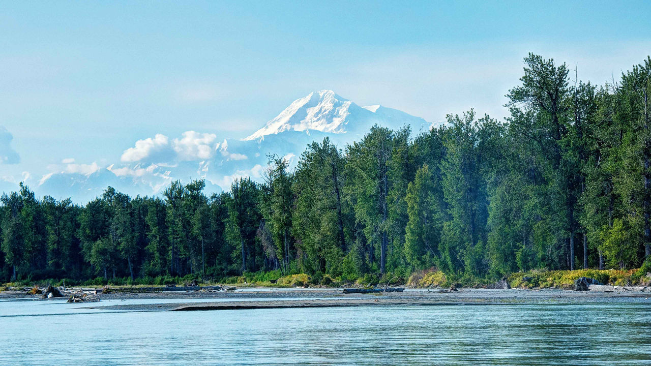 Talkeetna Treasures Cruisetour (Post Tour)