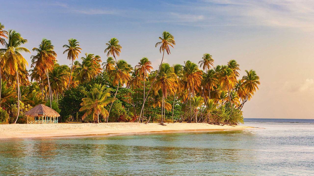Tobago Piegeon point