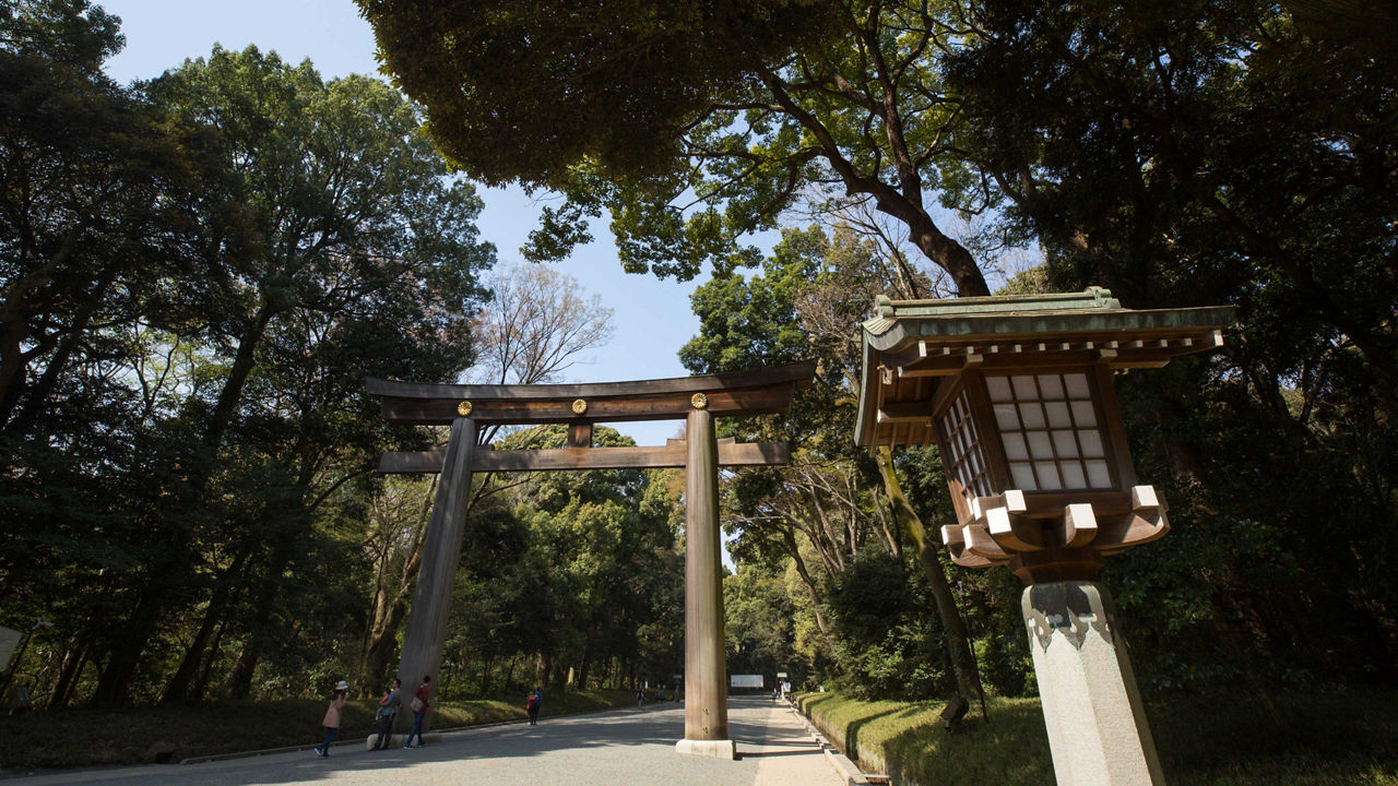 le sanctuaire Meiji à Tokyo, au Japon