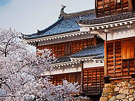 Best of Japan & Taiwan