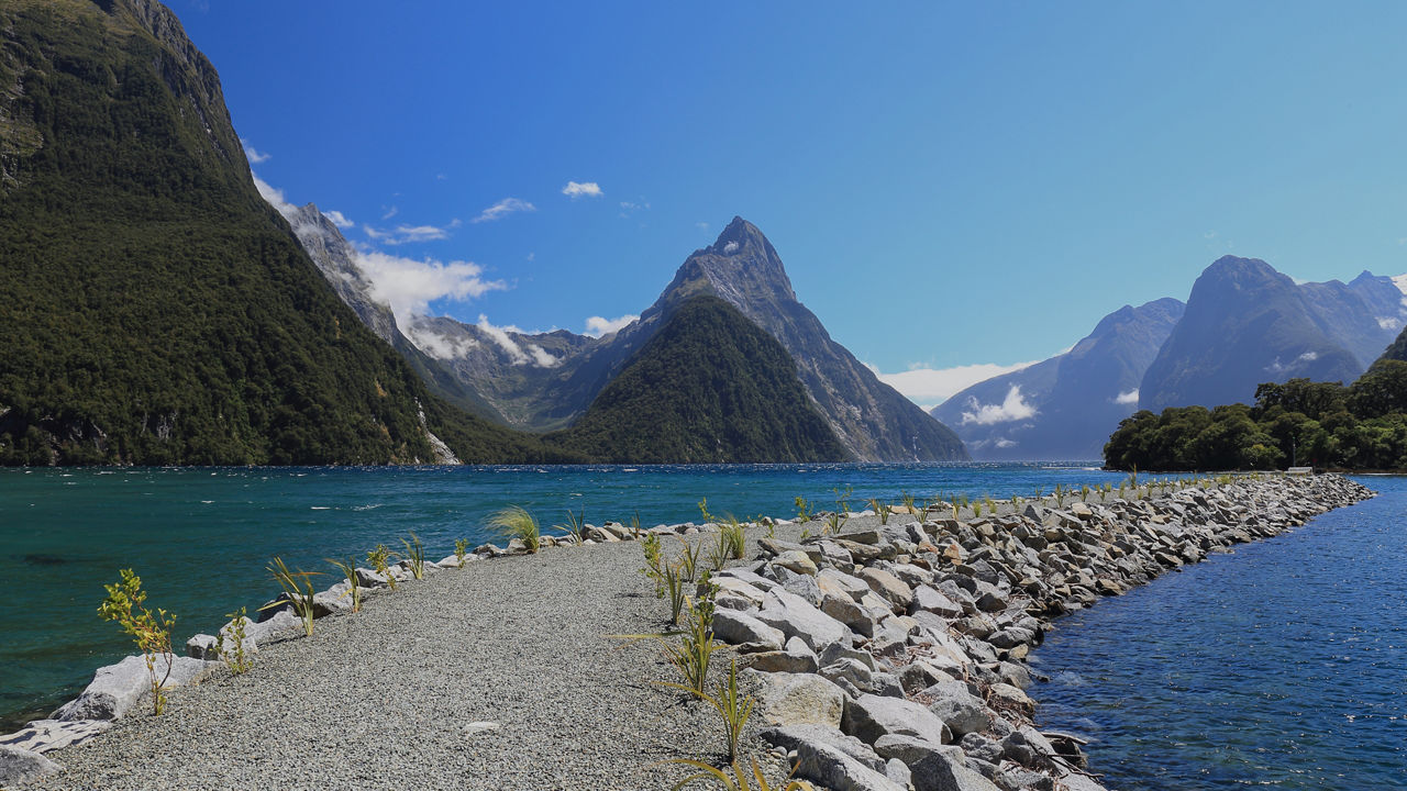 Best of New Zealand: Fjords & Natural Wonders